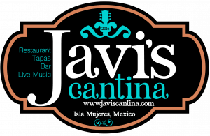 Javis Logo